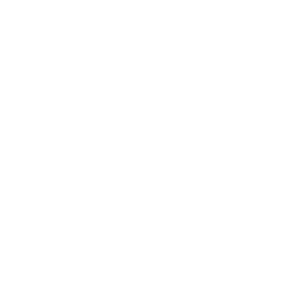 Climber partner logo Snowflake
